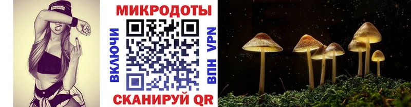 Псилоцибиновые грибы Magic Shrooms  купить закладку  Сибай 