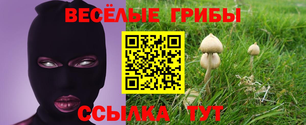 Сибай  Галлюциногенные грибы ЛСД  где продают наркотики  Вход с VPN 