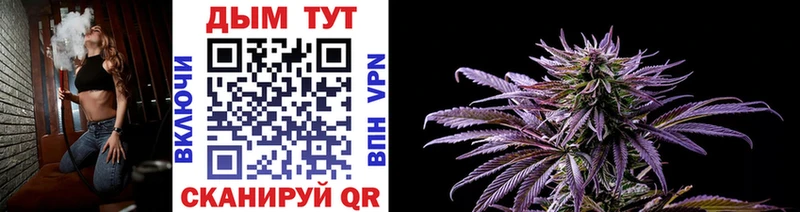 цены наркотик  MEGA как войти  Бошки марихуана SATIVA & INDICA  Сибай 